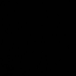 Meet your Posher, Gianna